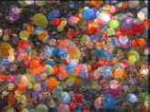 Il pleut des ballons !