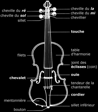 violon